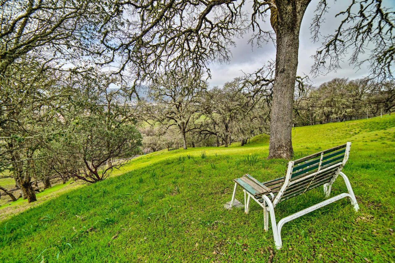 Hilltop Loft Ukiah Vacation Rental! Eksteriør bilde
