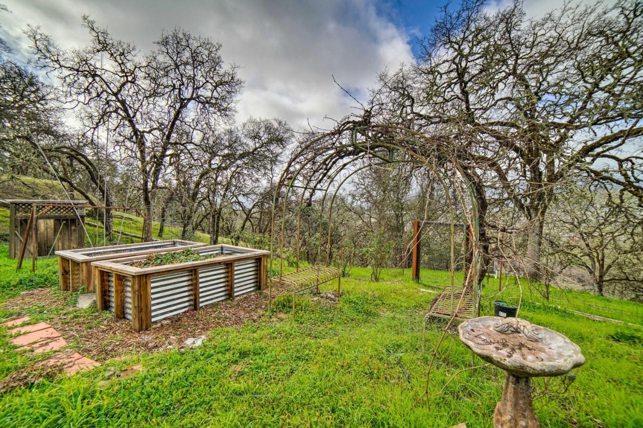 Hilltop Loft Ukiah Vacation Rental! Eksteriør bilde